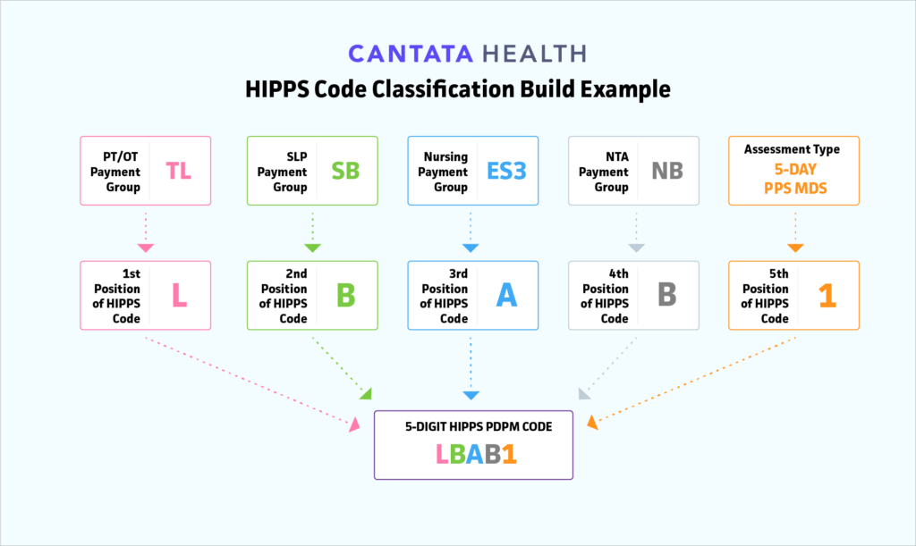 HIPPS Code Classification Build Example