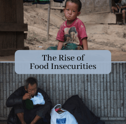 The Rise of Food Insecurities